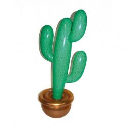   Kaktusz, felfjhat, 90 cm.
